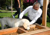 Adana’nın parklarına mamalık ve suluk yerleştirildi…