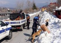 Zabıta ve hayvan hakları savunucularından anlamlı iş birliği
