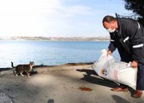 Büyükşehir ihtiyaçlar ve hizmetler için her kulvarda çalışıyor