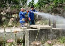 Büyükşehir; 450 Personel, 100 Araç İle Haşereyle Mücadele Ediyor