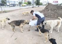 Büyükşehir, halka hizmeti her kulvarda aralıksız sürdürüyor