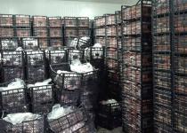 Yaklaşık 40 ton kaçak et ele geçirildi
